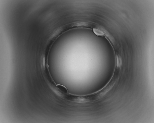 X0000115540253200911061506