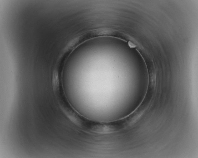 X0000115540254200911061506