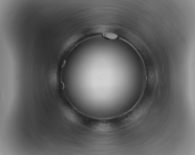 X0000115540256200911061506