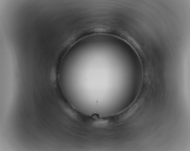 X0000115540257200911061506