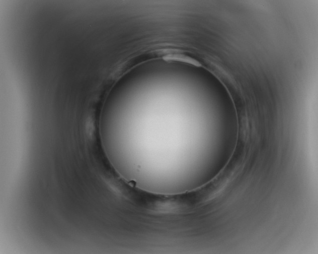 X0000115540259200911061506