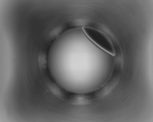 X0000115540264200911061506