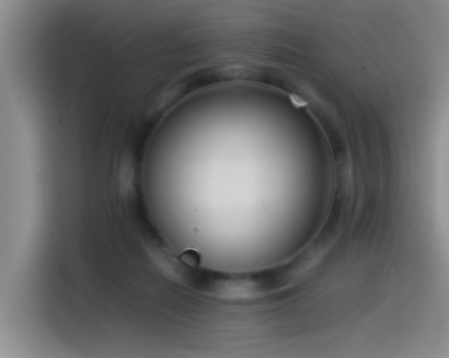 X0000115540266200911061506