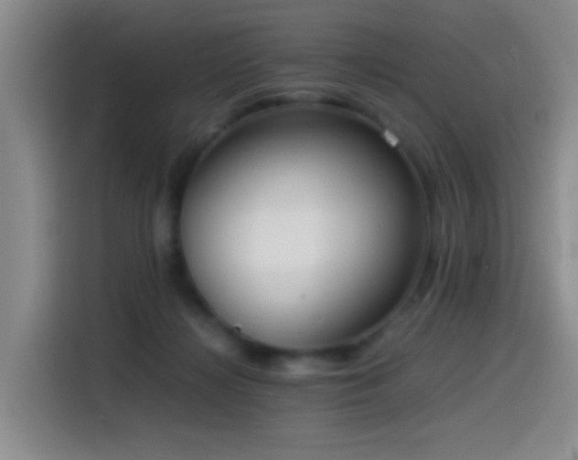 X0000115540268200911061506