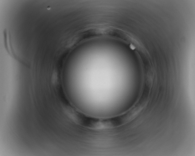 X0000115540270200911061506