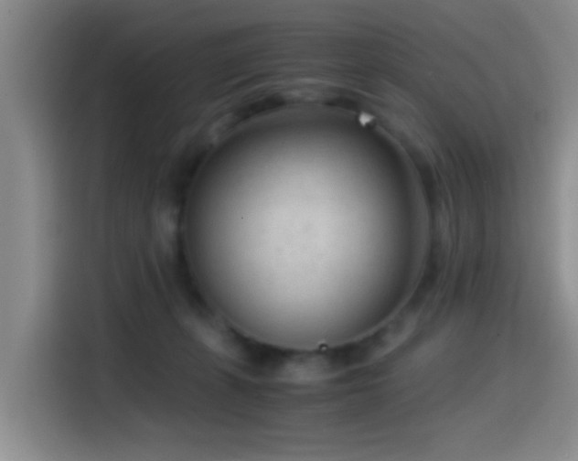 X0000115540271200911061506