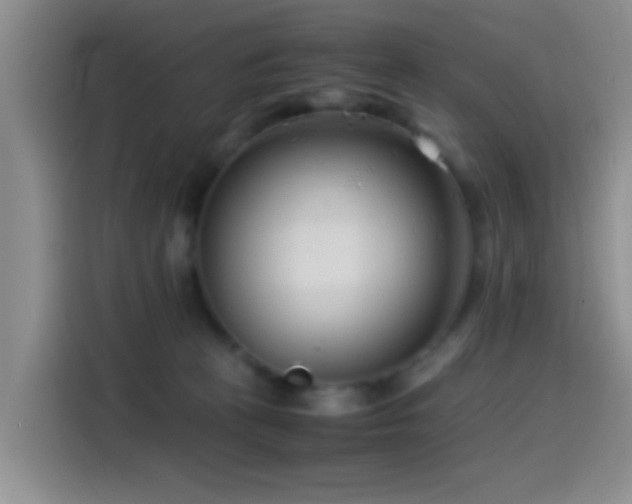 X0000115540273200911061506