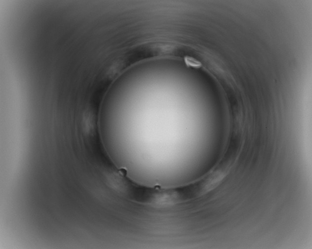 X0000115540274200911061506