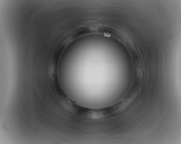 X0000115540275200911061506