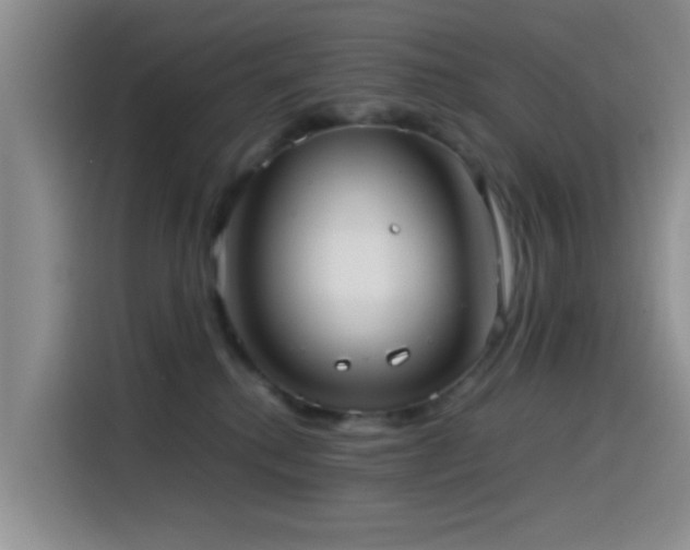 X0000115540280200911061506