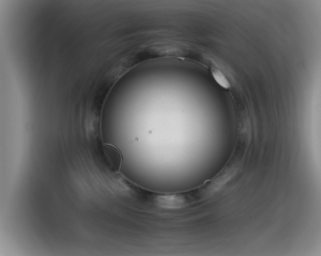 X0000115540281200911061506