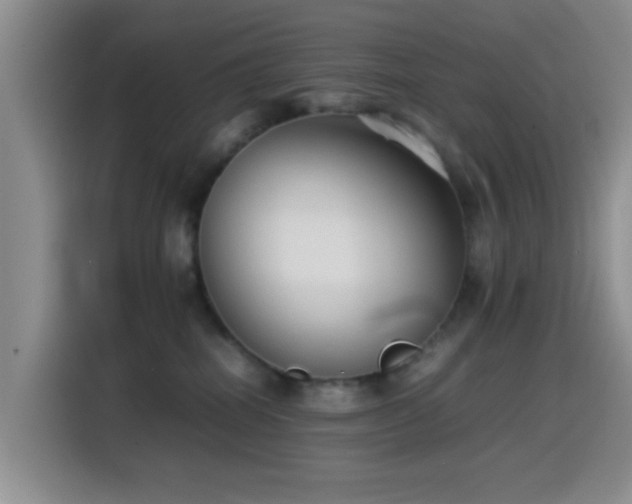 X0000115540282200911061506