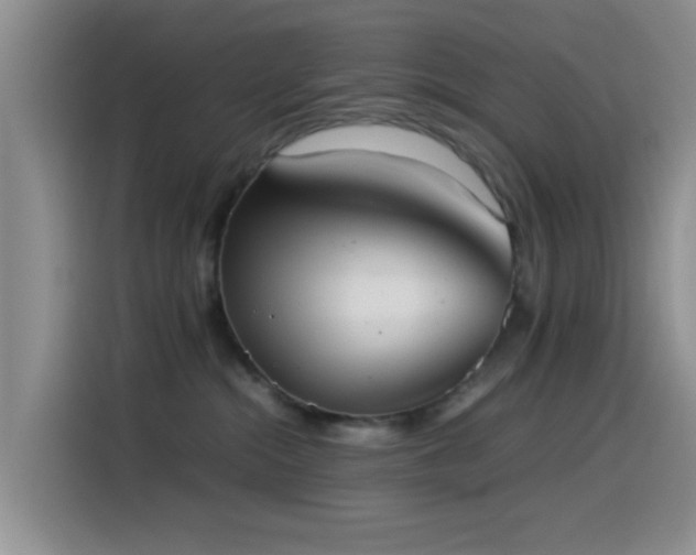 X0000115540284200911061506