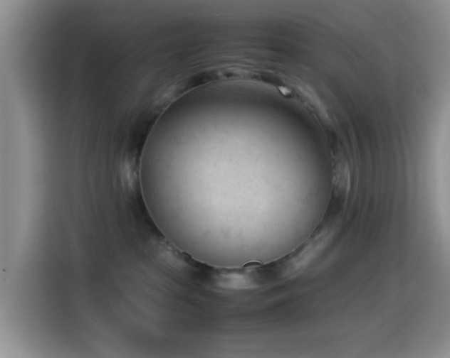 X0000115540285200911061506