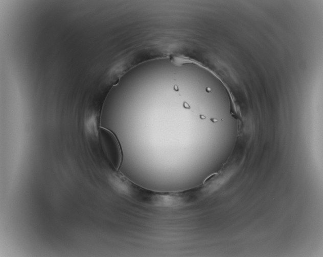 X0000115540286200911061506