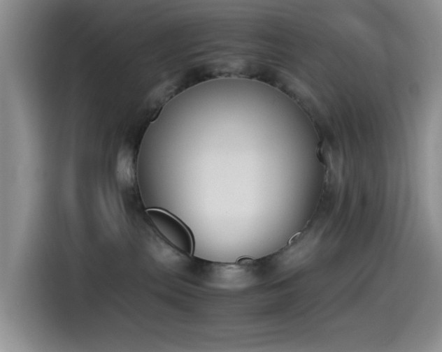 X0000115540287200911061506