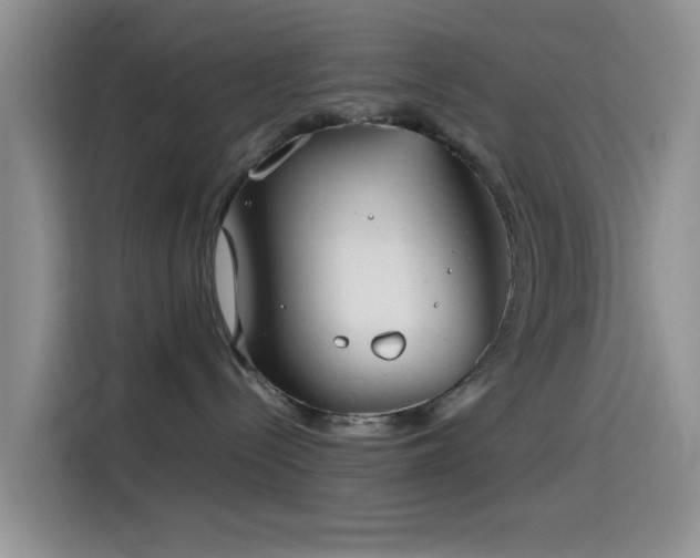 X0000115540288200911061506