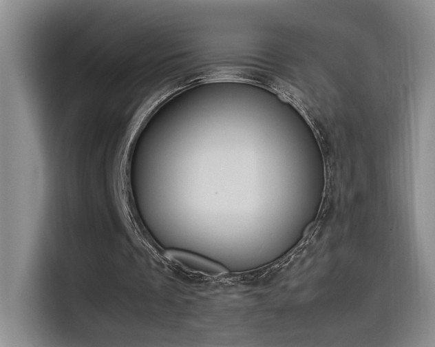 X0000115540289200911061506