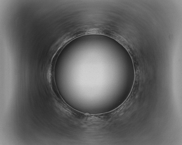 X0000115540290200911061506