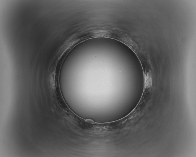 X0000115540291200911061506