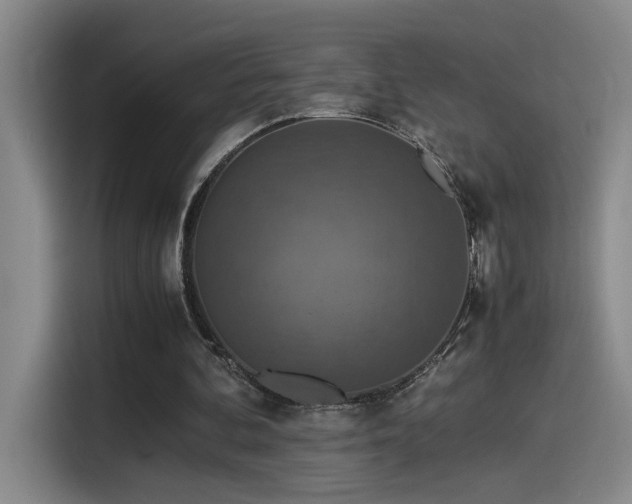 X0000115540292200911061506