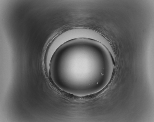 X0000115540293200911061506