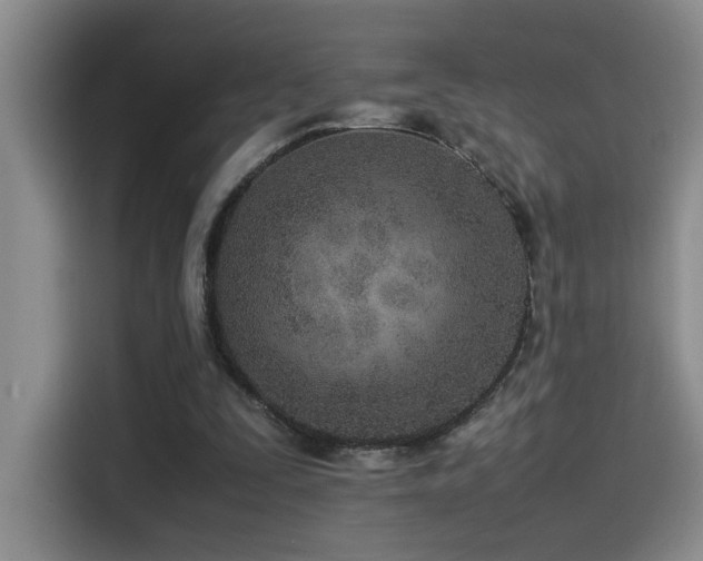 X0000115540295200911061506