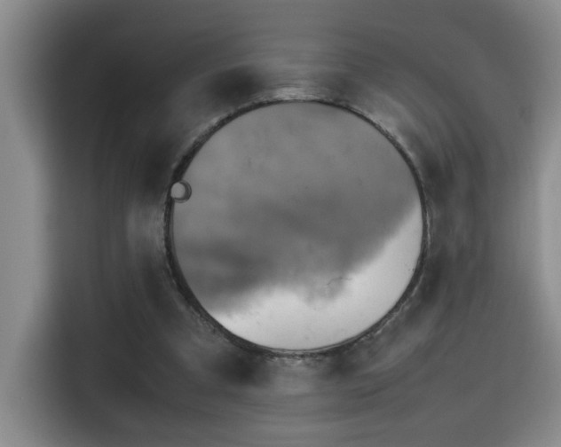 X0000115540297200911061505