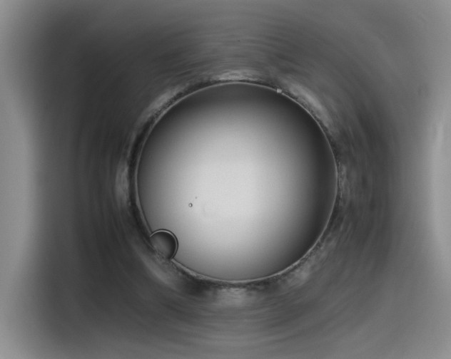 X0000115540298200911061505