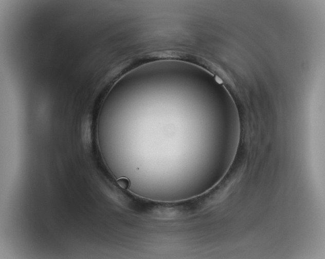 X0000115540299200911061505