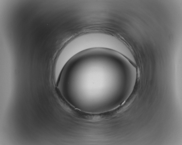 X0000115540301200911061505