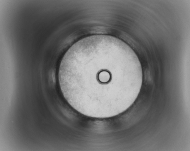 X0000115540302200911061505