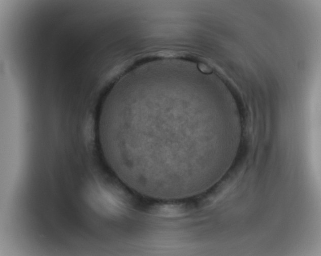 X0000115540303200911061505