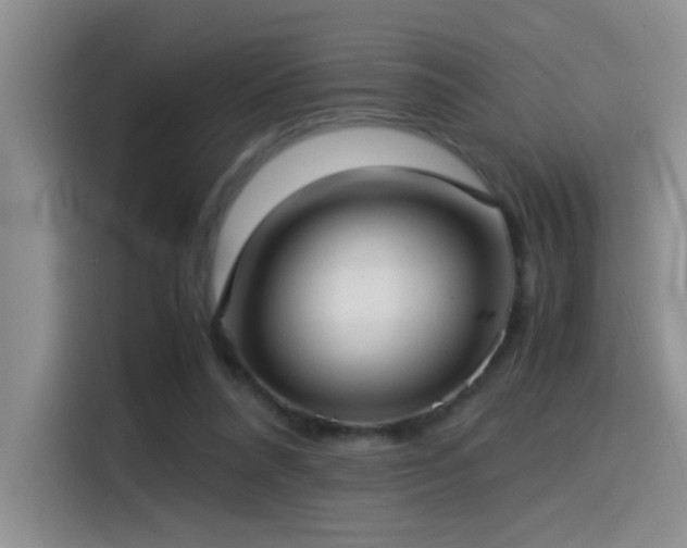 X0000115540304200911061505