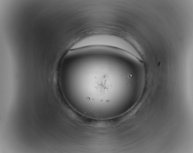 X0000115540305200911061505