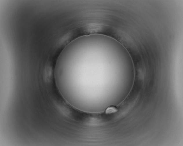 X0000115540308200911061505