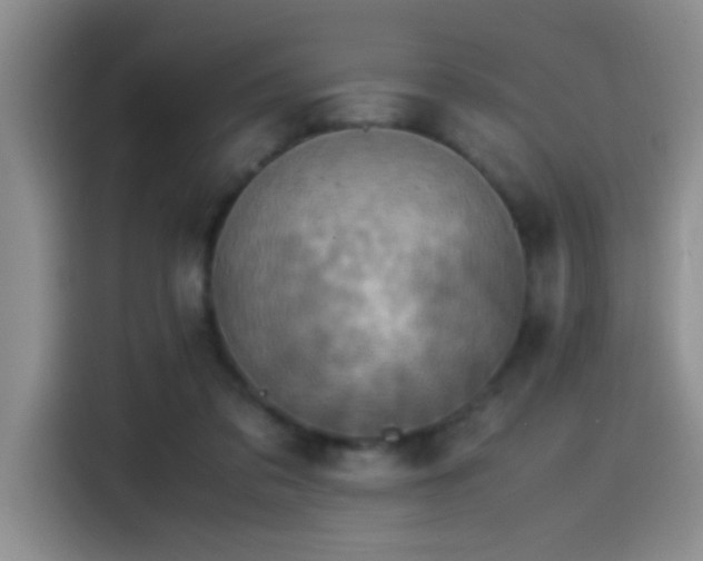 X0000115540309200911061505