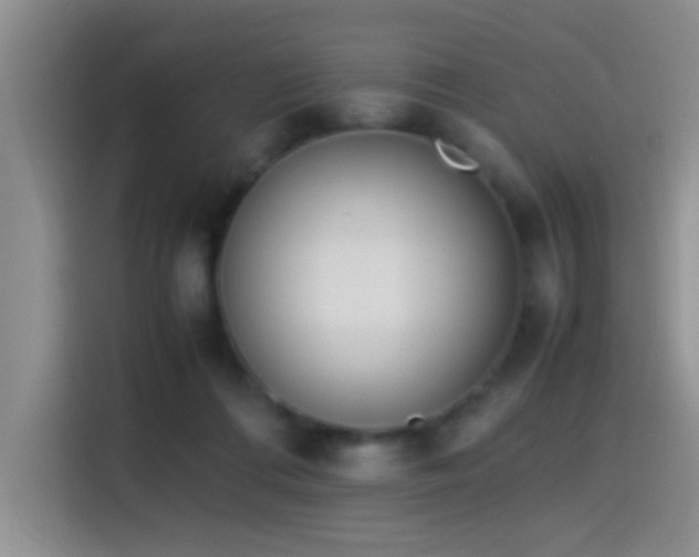 X0000115540312200911061505