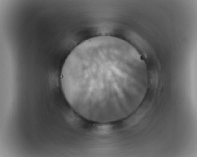 X0000115540313200911061505