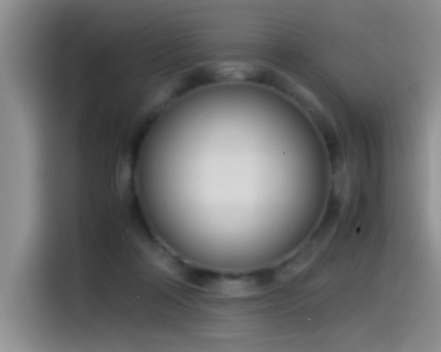 X0000115540314200911061505