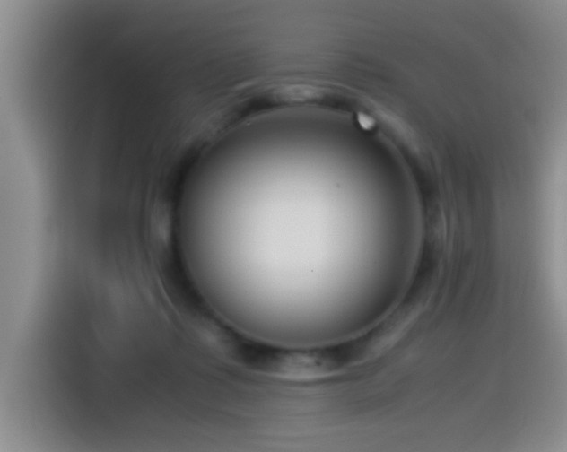 X0000115540315200911061505