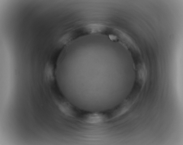 X0000115540316200911061505