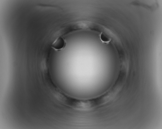 X0000115540317200911061505