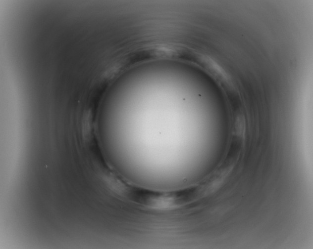 X0000115540318200911061505