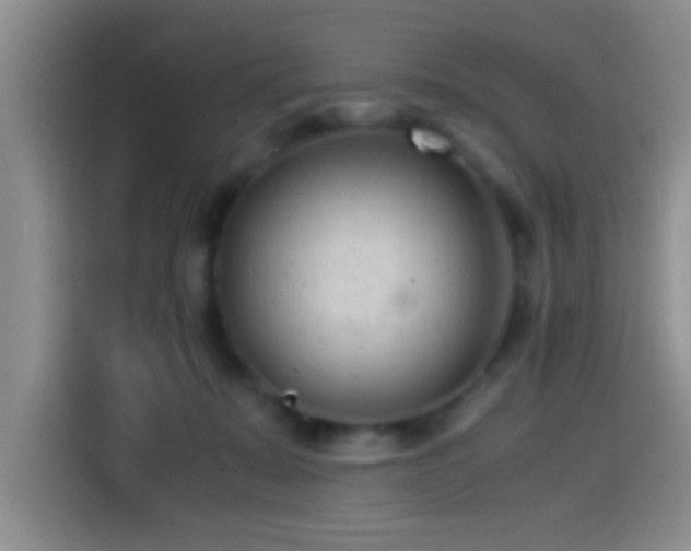 X0000115540319200911061505