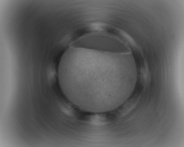 X0000115540320200911061505