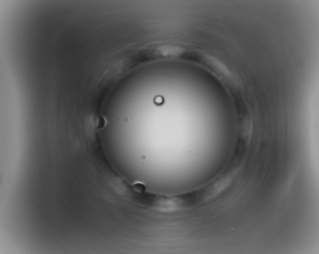 X0000115540321200911061505