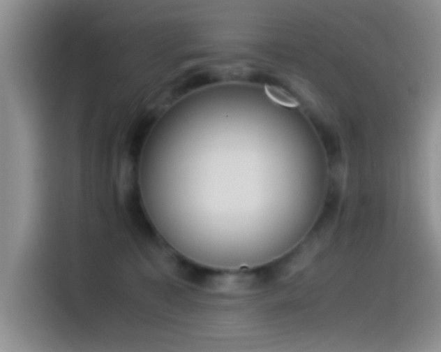 X0000115540323200911061505