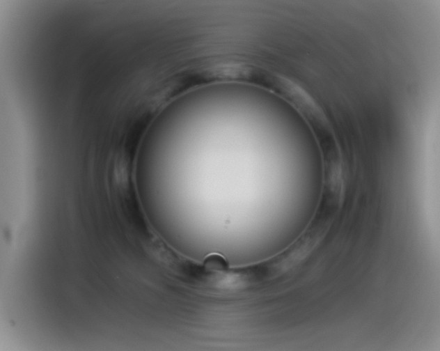 X0000115540326200911061505