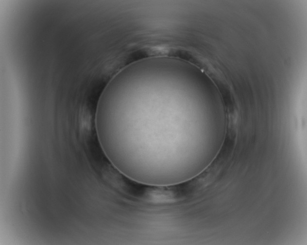 X0000115540331200911061505